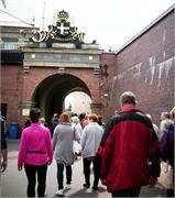 IMG-1818