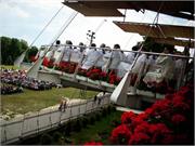 IMG-1838