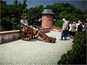 IMG-1909